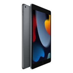 2021 Apple iPad 10.2″ (64GB, Wi-Fi, серый космос)— фото №2