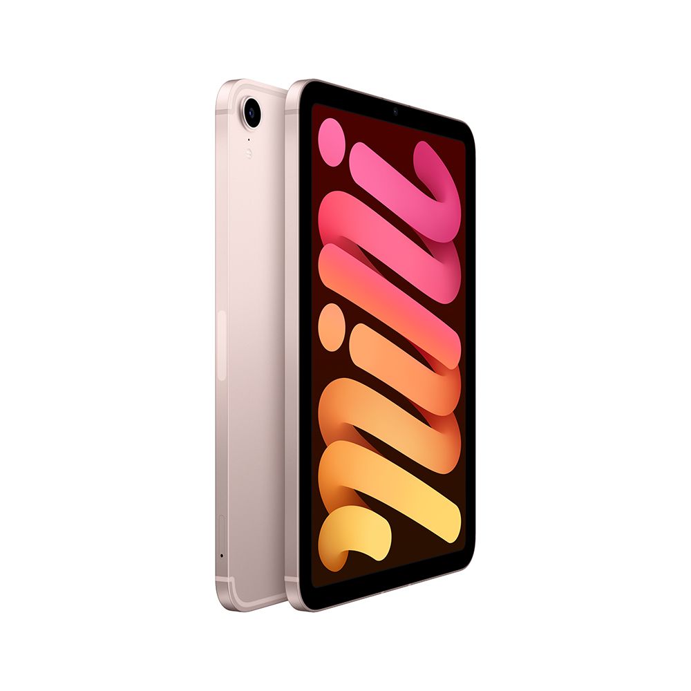 2021 Apple iPad mini 8″ (256Gb, Wi-Fi + сотовая связь, розовый)— фото №1